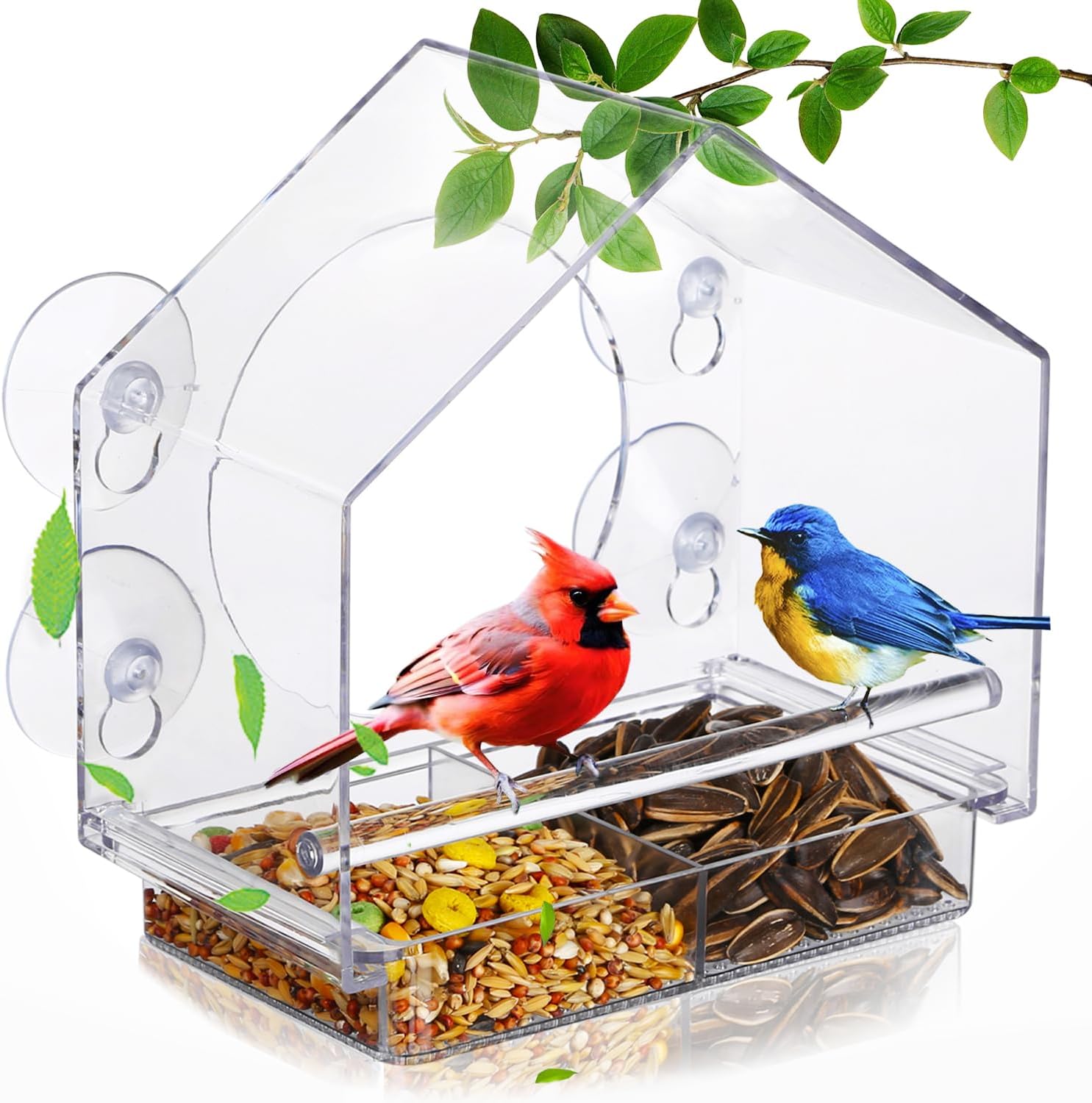 Tempat makan burung persegi pa - Outdoor Furniture Easy To Clean ulasan dan harga