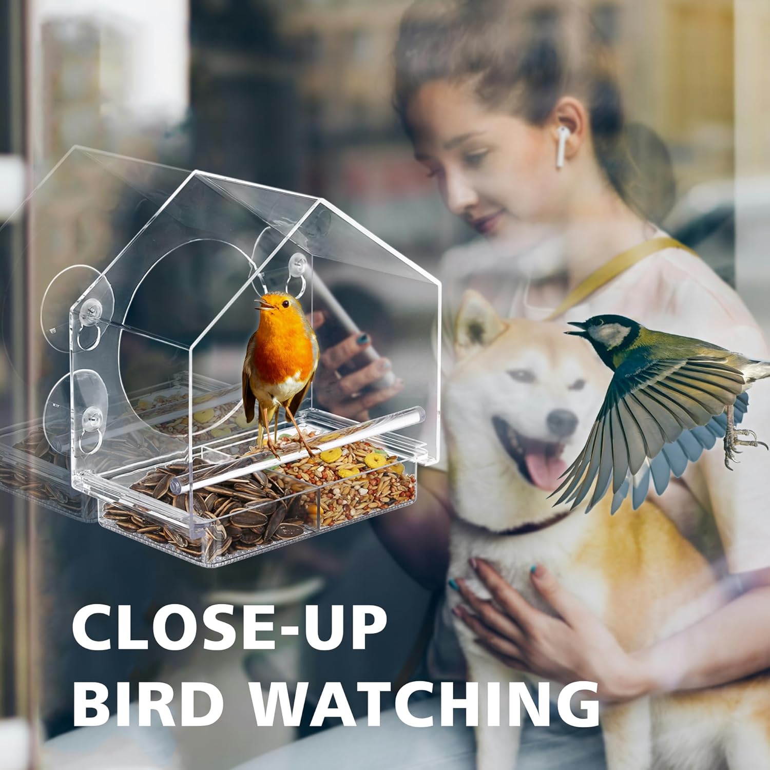 Tempat makan burung persegi pa - Outdoor Furniture Easy To Clean ulasan dan harga