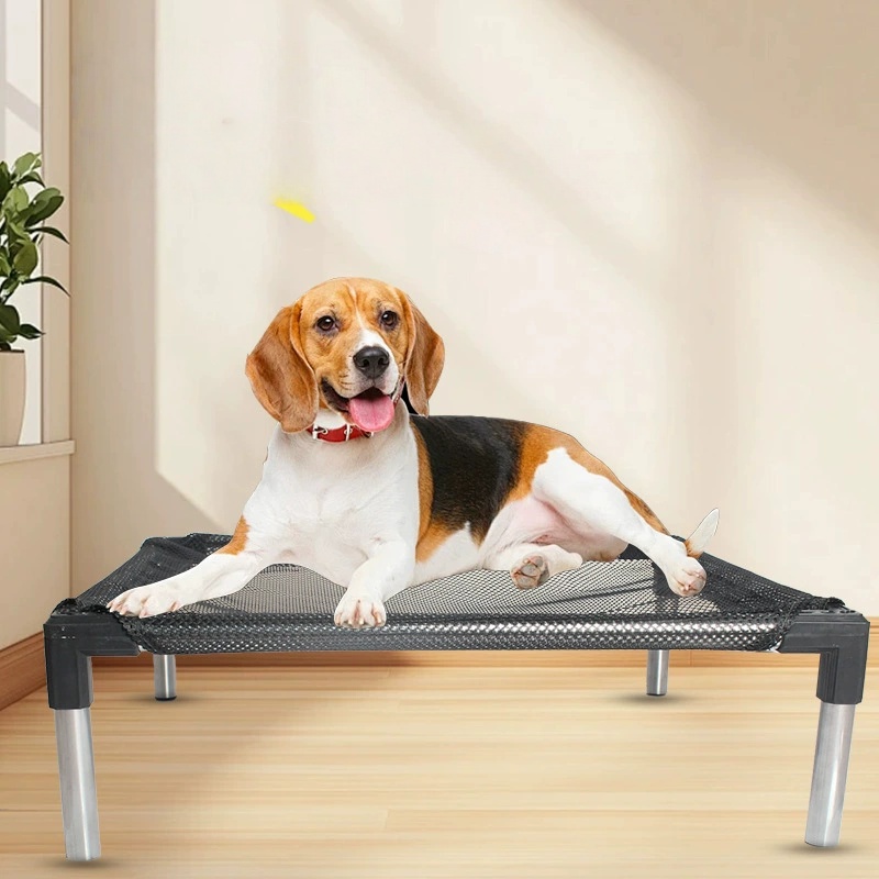 Tempat Tidur Anjing Tinggi Pen - Outdoor Daybed Sofa ulasan dan harga